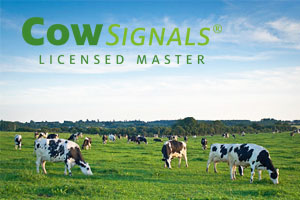 Licenced CowSignals® Master